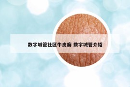 數(shù)字城管社區(qū)牛皮癬 數(shù)字城管介紹