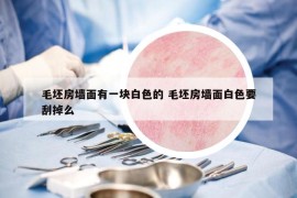 毛坯房墻面有一塊白色的 毛坯房墻面白色要刮掉么