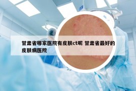 甘肅省哪家醫(yī)院有皮膚ct呢 甘肅省最好的皮膚病醫(yī)院