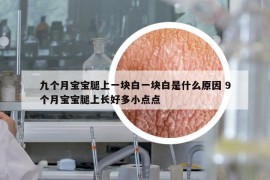 九個月寶寶腿上一塊白一塊白是什么原因 9個月寶寶腿上長好多小點(diǎn)點(diǎn)