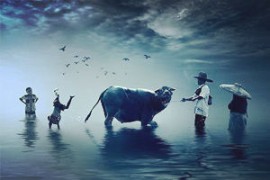 銀屑病生物制劑多少錢一針