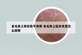 金毛身上有白色牛皮癬 金毛身上起白皮是怎么回事