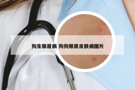 狗生銀屑病 狗狗銀屑皮膚病圖片