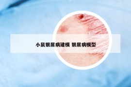 小鼠銀屑病建模 銀屑病模型