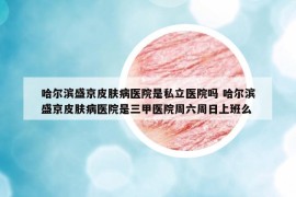 哈爾濱盛京皮膚病醫(yī)院是私立醫(yī)院?jiǎn)?哈爾濱盛京皮膚病醫(yī)院是三甲醫(yī)院周六周日上班么