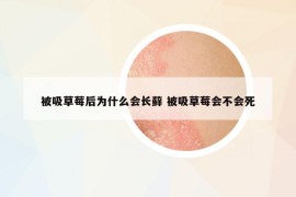 被吸草莓后為什么會(huì)長(zhǎng)蘚 被吸草莓會(huì)不會(huì)死