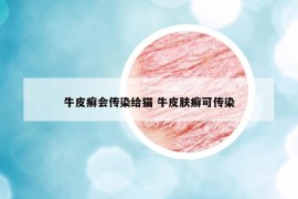 牛皮癬會傳染給貓 牛皮膚癬可傳染