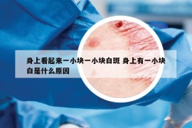 身上看起來一小塊一小塊白斑 身上有一小塊白是什么原因