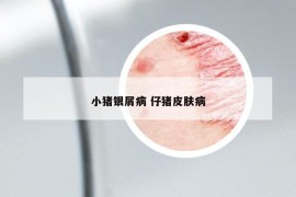 小豬銀屑病 仔豬皮膚病