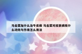 馬齒菜加什么治牛皮癬 馬齒菜對皮膚病有什么功效與作用怎么用法