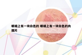 眼睛上有一塊白色的 眼睛上有一塊白色的肉圖片