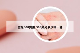 激光308費(fèi)用 308激光多少錢一臺(tái)